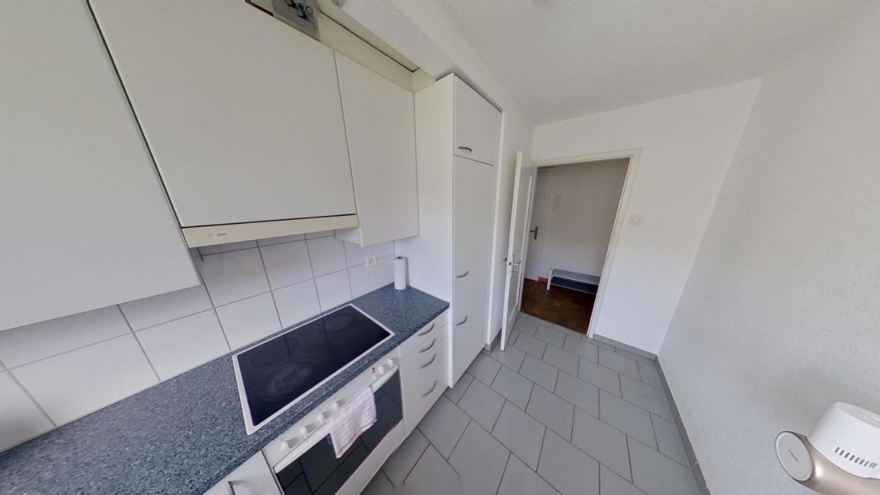 Апартаменты Duebendorfstrasse 171 Цюрих Экстерьер фото